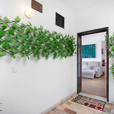 Apartment Da Alegria